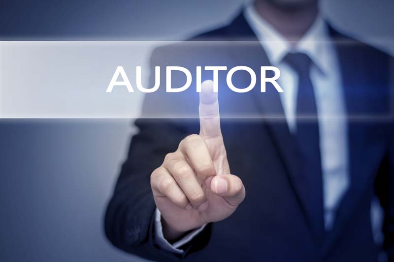 The Internal Audit Overview